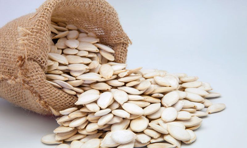 Musk Melon Seeds